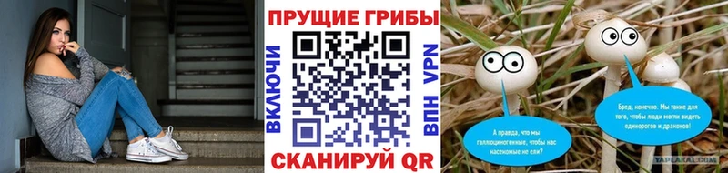 хочу   Харовск  Псилоцибиновые грибы мицелий 